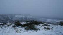 Imagen de En fotos: así luce Paso Córdoba tras la nevada en Roca