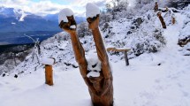 Imagen de A redescubrir el Bosque Tallado con nieve en El Bolsón