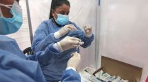 Imagen de Se registraron 542 fallecidos y 24.023 nuevos contagios con coronavirus en el país