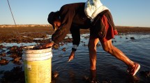 Imagen de La ciencia rescata la historia de los primeros pulperos de las costas patagónicas