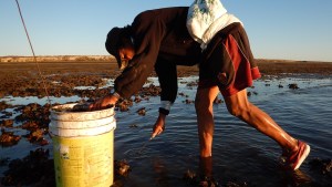 La ciencia rescata la historia de los primeros pulperos de las costas patagónicas