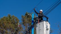 Imagen de Advierten por comunicados falsos de un organismo de Neuquén 