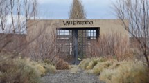 Imagen de Licitan las bodegas abandonadas por un empresario en El Chañar: los detalles del pliego