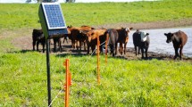 Imagen de Ocho empresas buscan abastecer con energía solar a productores rurales