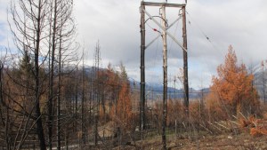 Atentado dejó sin luz a 17.000 pobladores de la comarca andina