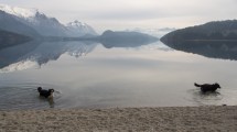 Imagen de Avanza la idea de trazar un sendero en la costa norte del lago Moreno en Bariloche