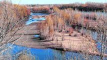 Imagen de Crisis climática: la sequía se consolida y obliga a replantear el uso de los recursos en la región