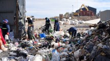 Imagen de Buscan que Neuquén se convierta en la capital del reciclado urbano