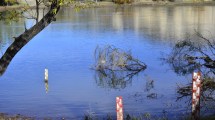 Imagen de Advierten por aumento del caudal en el río Negro