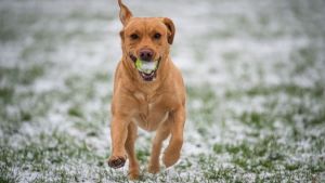 Pronóstico: ¡Brrr! Así asoma el miércoles en la región