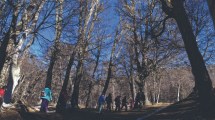 Imagen de Paseo en Bariloche por el Valle del Challhuaco: naturaleza y gastronomía