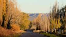 Imagen de Escapada para el finde largo: Alto Valle, ciudades en contacto con la naturaleza