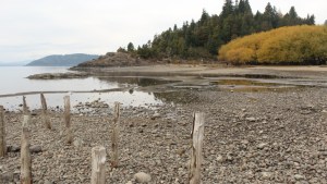 Residuos como los plásticos ya afectan al 18% de la costa del Lago Nahuel Huapi