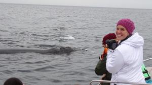 Hacen un catálogo de las ballenas del Golfo San Matías con nombres votados por la gente