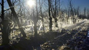 ¡Brrr! El feriado llega con heladas y bajas temperaturas: mirá el pronóstico