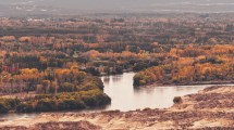 Imagen de Aniversario de General Roca: Ver para volver y querer quedarse en el Valle