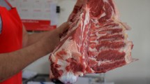 Imagen de Cepo a la carne: no bajó el precio en la región