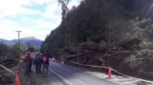 Imagen de «No se corre ningún riesgo» al transitar por la zona del derrumbe en La Angostura, aseguró Vialidad