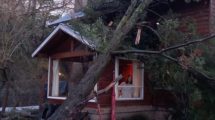 Imagen de Cayeron rocas sobre la ruta de los Siete Lagos y un árbol sobre una casa en San Martín