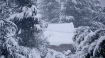 Imagen de Aire polar, lluvia, nieve y viento para este fin de semana en la región