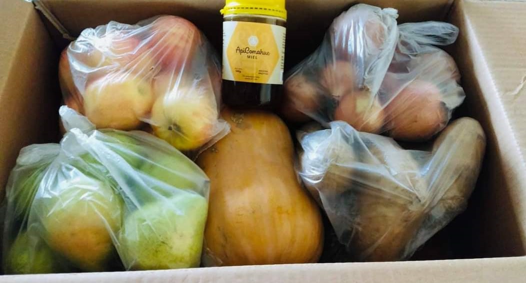 La provincia estableció en pandemia la entrega de módulos de productos frescos con verduras, frutas, miel y nueces de la región para los chicos de las escuelas. Archivo