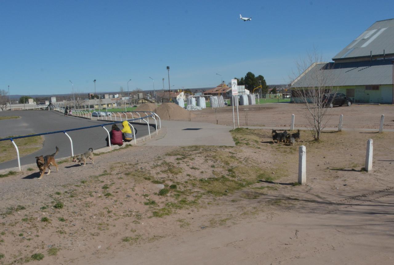 Pista de patín Rosana Sastre en el polideportivo de Gregorio Alvarez (foto Yamil Regules)