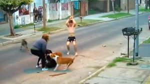 Salvaje ataque de tres perros a una mujer quedó grabado por la cámara de seguridad