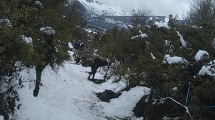 Imagen de Toma de tierras en Bariloche: «No negociaremos bajo presión»