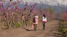 Imagen de Cinco ciudades que todos quieren conocer en primavera