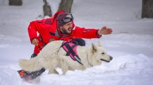 Imagen de Así entrenan los perros en la nieve para aprender a rescatar personas