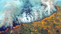 Imagen de Los incendios en el Amazonas generaron récord de emisiones de gases en Sudamérica