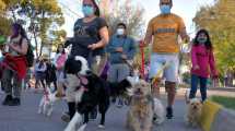 Imagen de Se realizará la Feria Animalada por el día del animal en Neuquén