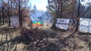 Comunidad mapuche y empresario forestal compartirán un camino de ingreso en Cuesta del Ternero