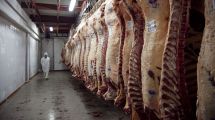 Imagen de Exportación de carne: Solución salomónica a un problema económico y político