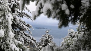 Pronóstico: ¡A abrigarse! Vuelven las heladas este viernes a la región