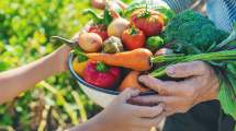 Imagen de Solo 6 de cada 100 argentinos consume las cinco porciones diarias de frutas y verduras necesarias