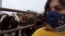 Imagen de La historia de Patricia, una mujer rural en un tambo