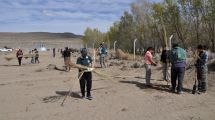 Imagen de Jacobacci incrementa la forestación regada con efluentes cloacales tratados