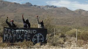 Investigadores denuncian una campaña «racista y estigmatizante» hacia el pueblo mapuche
