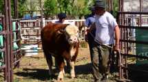 Imagen de La Expo Rural Ganadera del Alto Valle regresa con una nueva edición a Roca