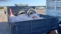 Imagen de Policía decomisó 2000 kilos de carne en un operativo realizado en Roca