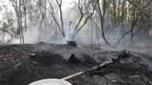 Imagen de Lograron controlar el incendio del Paseo de la Costa de Neuquén