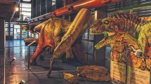 Imagen de Una nueva sala de exhibición con dinos de la región