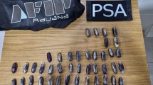 Imagen de Detienen en el aeropuerto de Ushuaia a una mujer con 41 cápsulas de cocaína en su estómago