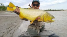 Imagen de Aventuras de pesca: de una gran trucha marrón en la Patagonia a un furioso dorado en el norte