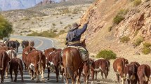 Imagen de Grave pelea entre crianceros por el lugar de pastoreo de sus animales