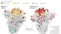 Imagen de Primera imagen de ómicron, la variante de coronavirus que preocupa al mundo