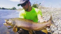 Imagen de Las grandes truchas del Limay Medio: diciembre es un mes ideal para la pesca con mosca