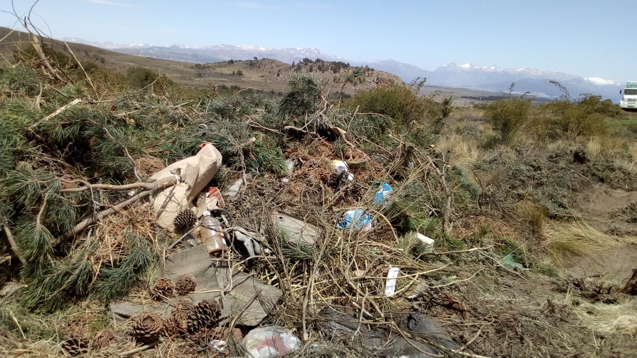 Todo el material forestal se trasladó hasta Ñirihuau. Foto: gentileza