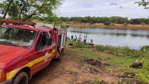 Brasil: se tiró al lago para salvarse de un enjambre de abejas y murió atacado por pirañas